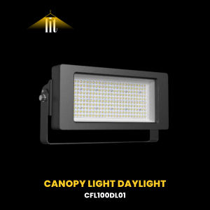 Rechargeable Floodlight by Lit—Disruptive Solutions