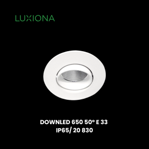 DOWNLED 650 50º E 33 by Luxiona - Disruptive Solutions Inc