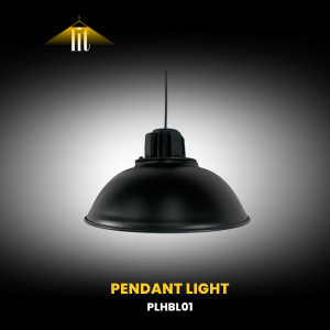 Pendant Light by Lit—Disruptive Solutions