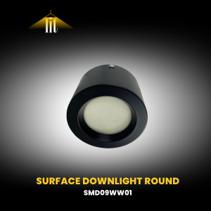Surface Downlight Round by Lit—Disruptive Solutions